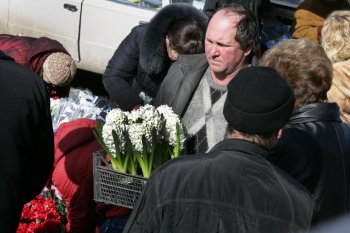 В Одессе — цветочный бум! (фото)
