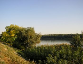 Cтартовала кампания «Мы хотим жить в здоровом регионе!»