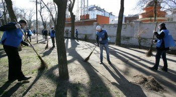 Родной Одессе платан западный....