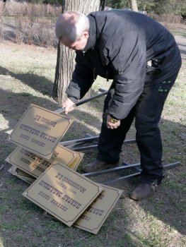 Родной Одессе платан западный....