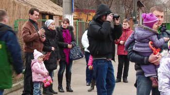 В Одесском зоопарке с 8 марта поздравили слониху Венди