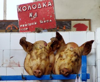 К Одессе с любовью (фото)