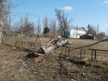 На одесском пляже застопорили незаконную стройку