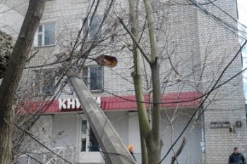 СМИ: Очередное массовое падение деревьев в Одессе