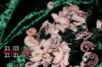 Харьковская художница Анна Быкова представляет в Одессе арт-проект "Сюрприз"
