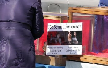 Торговцы живым товаром: «Продавать будем только на Староконном!» (фото)