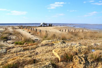 Куяльник: на волоске от гибели
