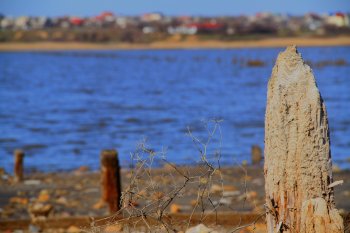 Куяльник: на волоске от гибели