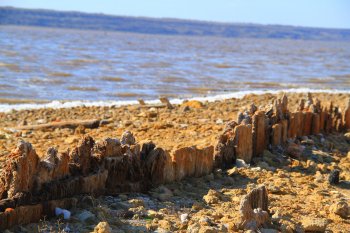 Куяльник: на волоске от гибели