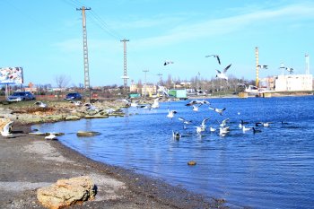 Сказочная переправа