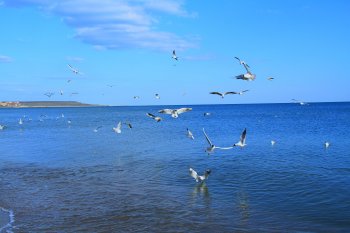 Я люблю ждать с Лузановским пляжем свидания