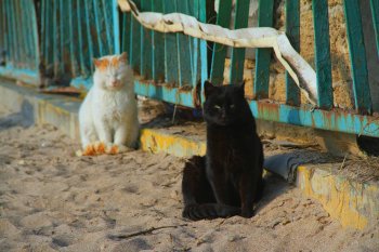 Я люблю ждать с Лузановским пляжем свидания
