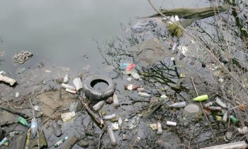 Ужасы нашего городка: Одесский пруд - рекордсмен по мусору и жутким запахам