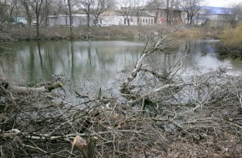 Ужасы нашего городка: Одесский пруд - рекордсмен по мусору и жутким запахам