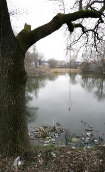 Ужасы нашего городка: Одесский пруд - рекордсмен по мусору и жутким запахам