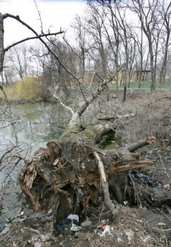 Ужасы нашего городка: Одесский пруд - рекордсмен по мусору и жутким запахам
