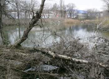 Ужасы нашего городка: Одесский пруд - рекордсмен по мусору и жутким запахам