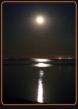 Час Земли 2013 в Одессе