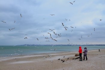 Лузановка: Начало шторма