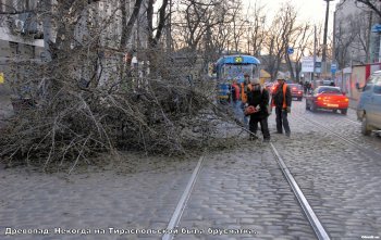 Одесские коммунальщики  ликвидируют последствия непогоды