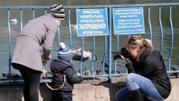 Одесская весна: В парке Победы — птичье оживление (фото)