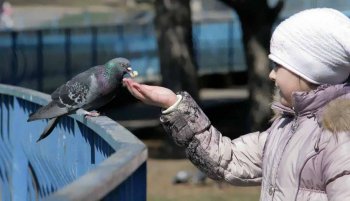 Одесская весна: В парке Победы — птичье оживление (фото)