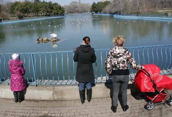 Одесская весна: В парке Победы — птичье оживление (фото)