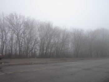 Туманные пейзажи