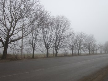 Туманные пейзажи