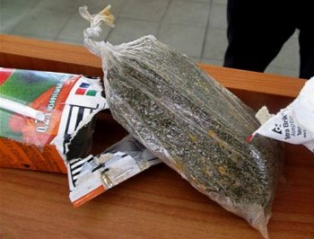 В рейсовом автобусе пограничный пес «вынюхал» каннабис