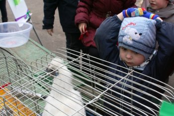 «Весенний фестиваль птиц» прошел в зоопарке Одессы