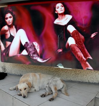 Одесса и одесситы. Часть 4
