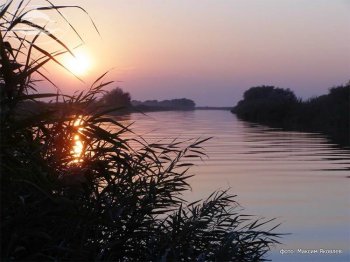 Уровень воды в реках области продолжает снижаться
