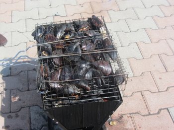 На Морвокзале журналисты демонстрировали кулинарные способности