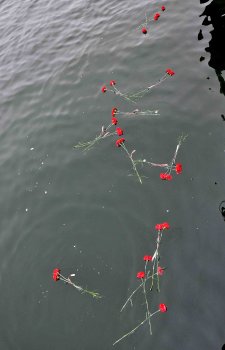 Пограничники совместно с ветеранами вышли в море и почтили память погибших во время освобождения Одессы