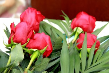 Народный депутат лично поздравил 90-летнюю участницу обороны Одессы