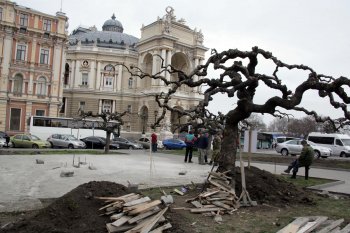 На Театральной площади появились штыри: устанавливают памятник Ойстраху