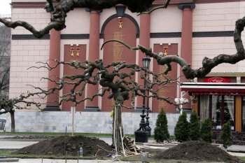 На Театральной площади появились штыри: устанавливают памятник Ойстраху