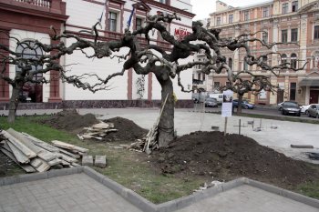 На Театральной площади появились штыри: устанавливают памятник Ойстраху