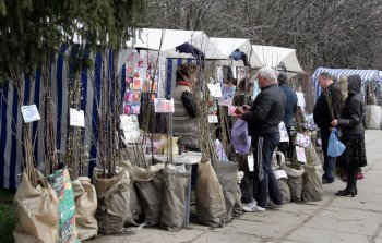 В Одессе — большая ярмарка для садоводов-огородников