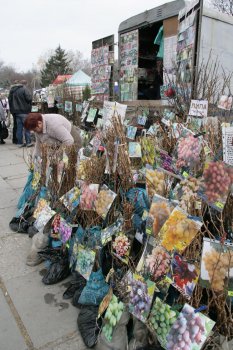 В Одессе — большая ярмарка для садоводов-огородников