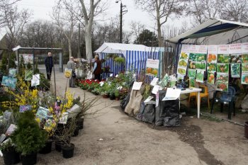 В Одессе — большая ярмарка для садоводов-огородников