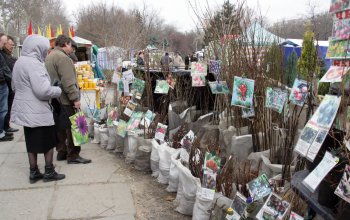 В Одессе — большая ярмарка для садоводов-огородников