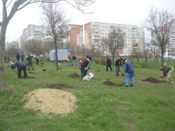 Коммунисты Южного вспомнили на субботнике свою молодость