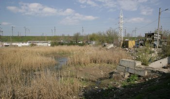 Буферный пруд на Балковской: Печальное зрелище (фото)
