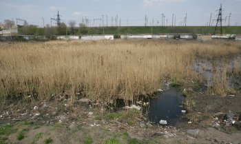 Буферный пруд на Балковской: Печальное зрелище (фото)