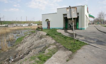 Буферный пруд на Балковской: Печальное зрелище (фото)