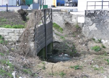 Буферный пруд на Балковской: Печальное зрелище (фото)