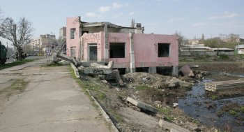 Буферный пруд на Балковской: Печальное зрелище (фото)