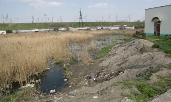 Буферный пруд на Балковской: Печальное зрелище (фото)